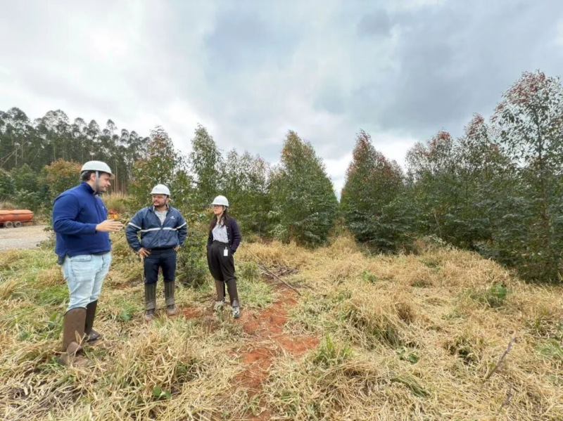 1760496120683110XbGD.png 圖片19.png