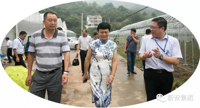 14741827382008858gPP.jpg 640.webp (1).jpg