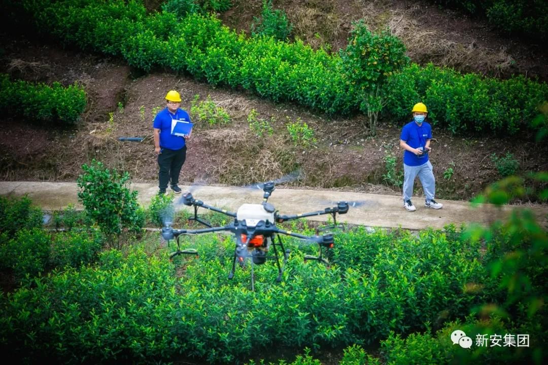 1602054095352433MkWd.jpg 1602054095352433MkWd.jpg