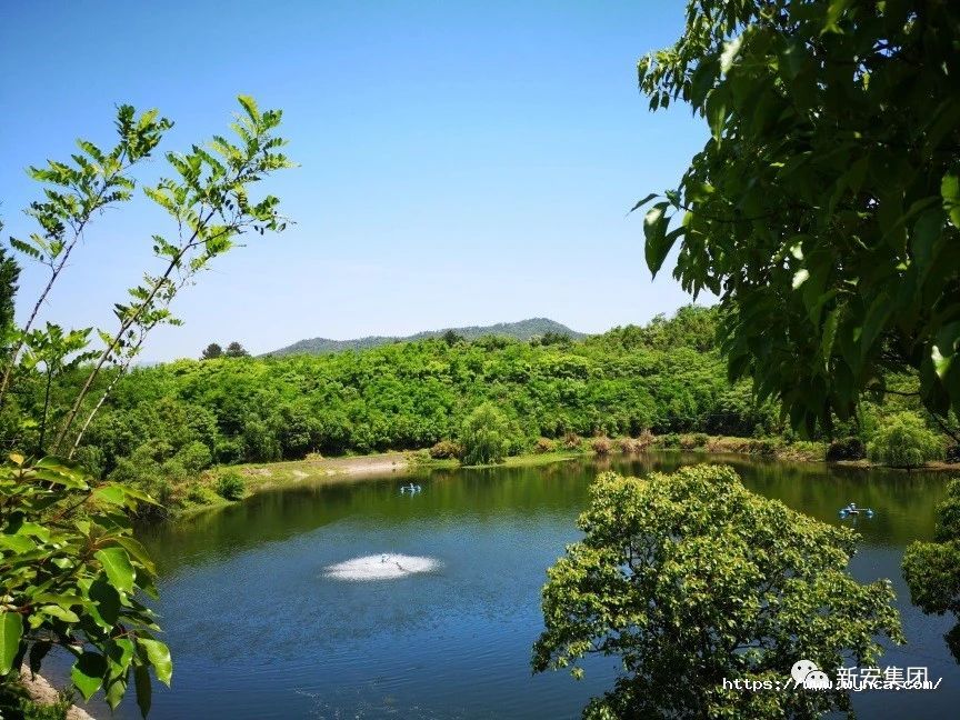 1603799675566136hcQP.jpg 1603799675566136hcQP.jpg